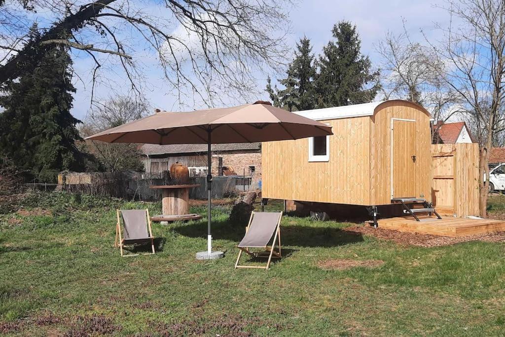 Zirkuswagen Glamping Fuer 2 Mit Veranda Kueche Netflix Parken Und Hofladen Steinhofel Luaran gambar